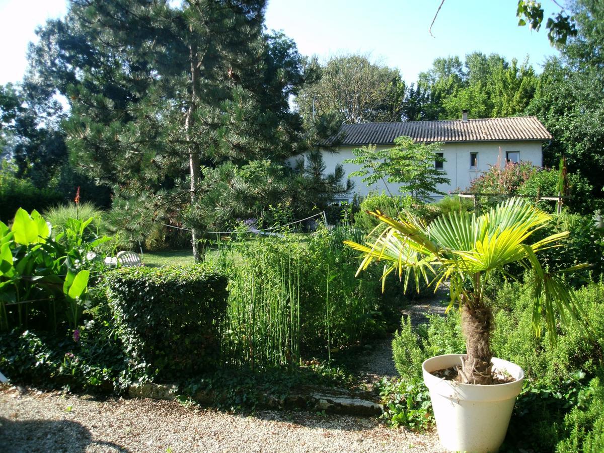 Sainte-Terre Le Bord De L'Eau B&B 외부 사진